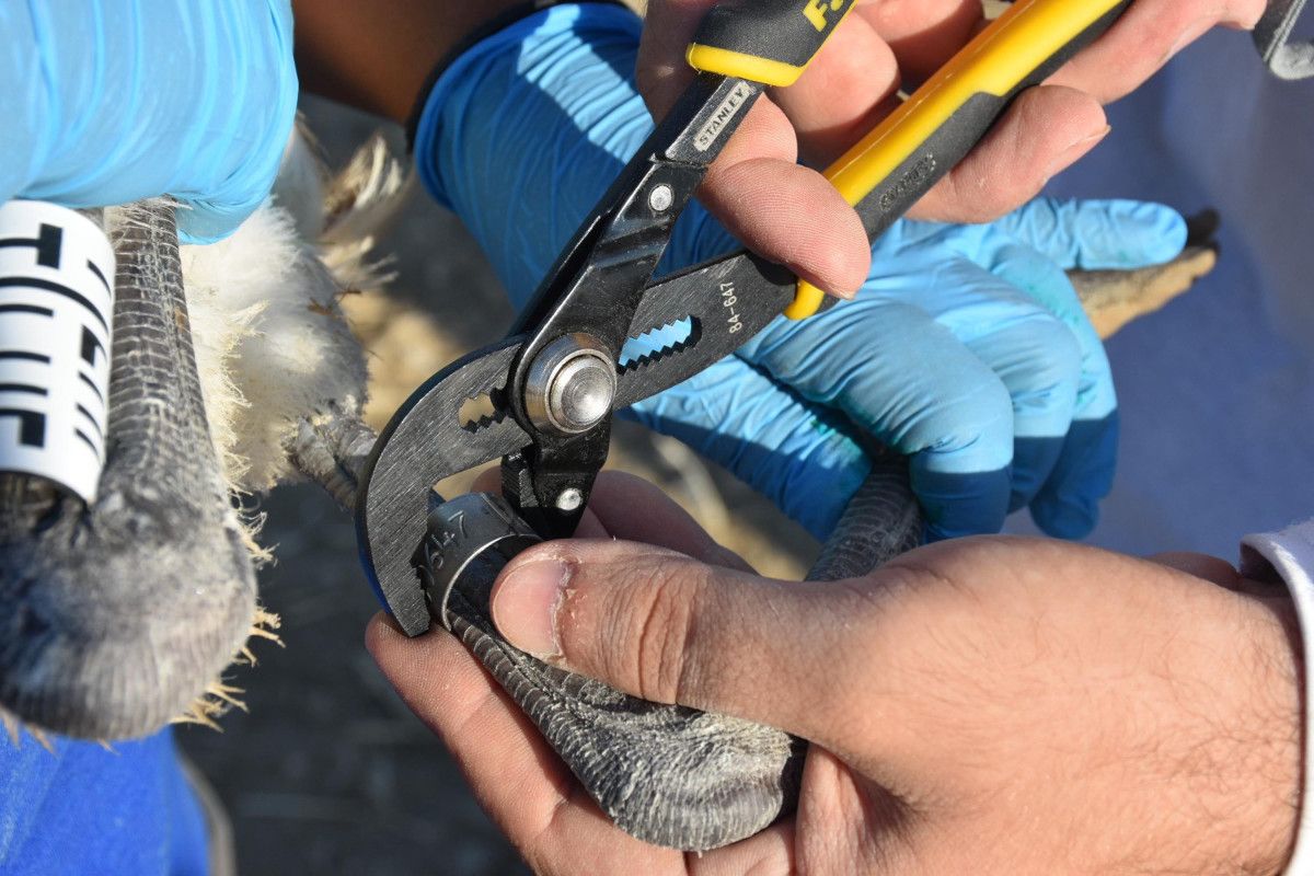 Çalışmaların Kapsamı ve İş Birlikleri