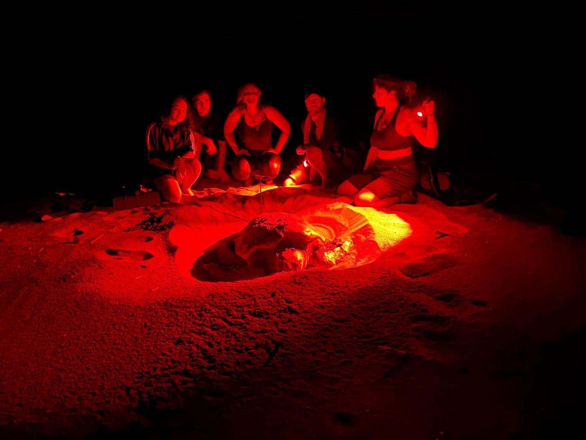 Aşırı Sıcakların ve Dişi Yavruların Artışı