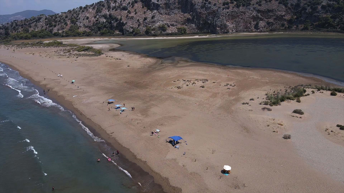 Aşırı Sıcakların ve Dişi Yavruların Artışı