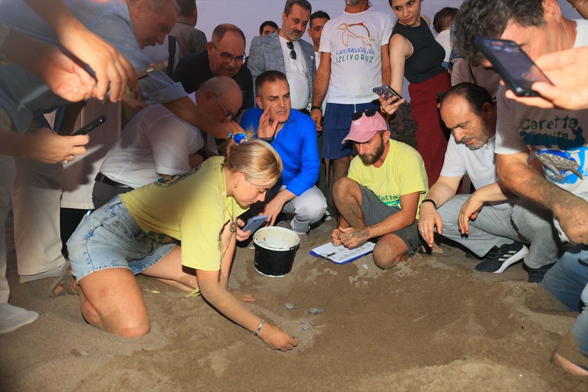 Yavruların Fırtına Gibi Bir Hayat Mücadelesi