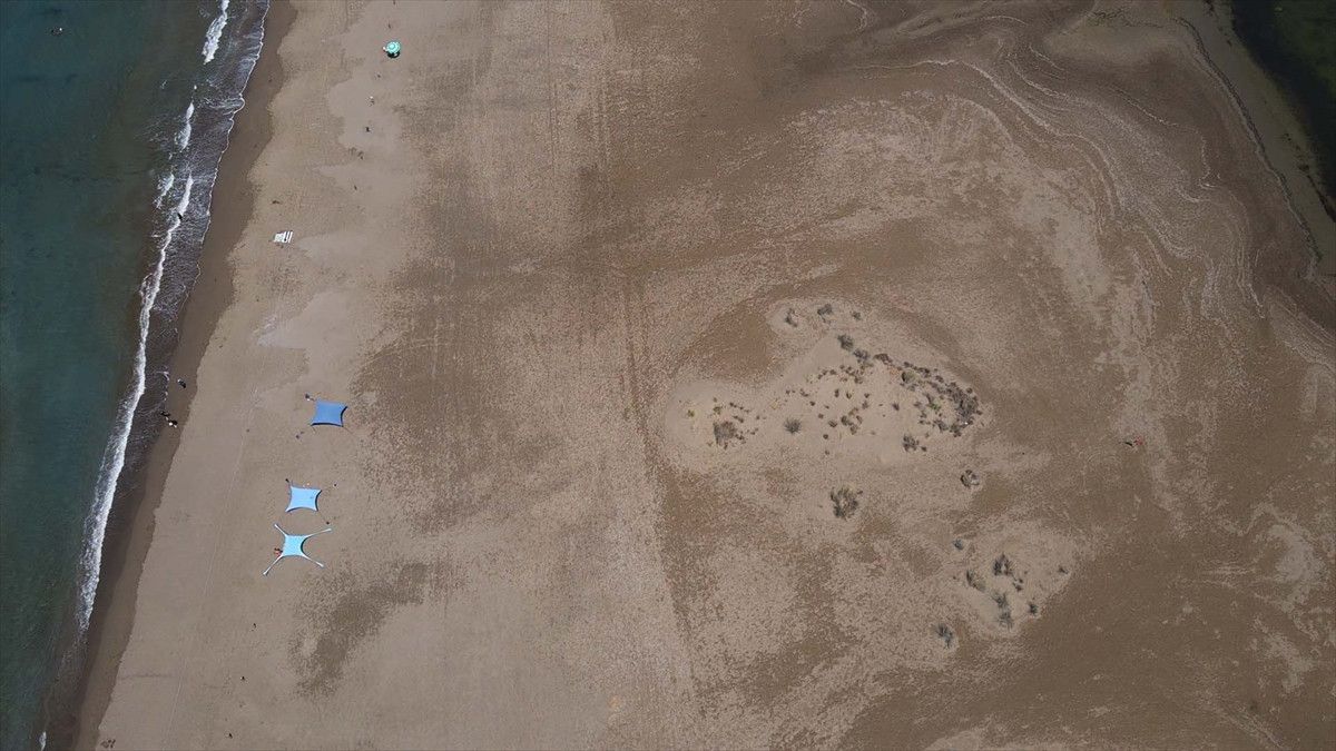 İztuzu’nda Caretta Caretta Deniz Kaplumbağalarının Yuva Sayısı Artış Gösteriyor