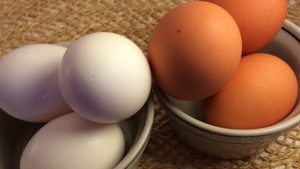 Kahverengi mi Beyaz mı? Hangi Yumurta Daha Sağlıklı ve Doğru Seçim Nasıl Yapılır?