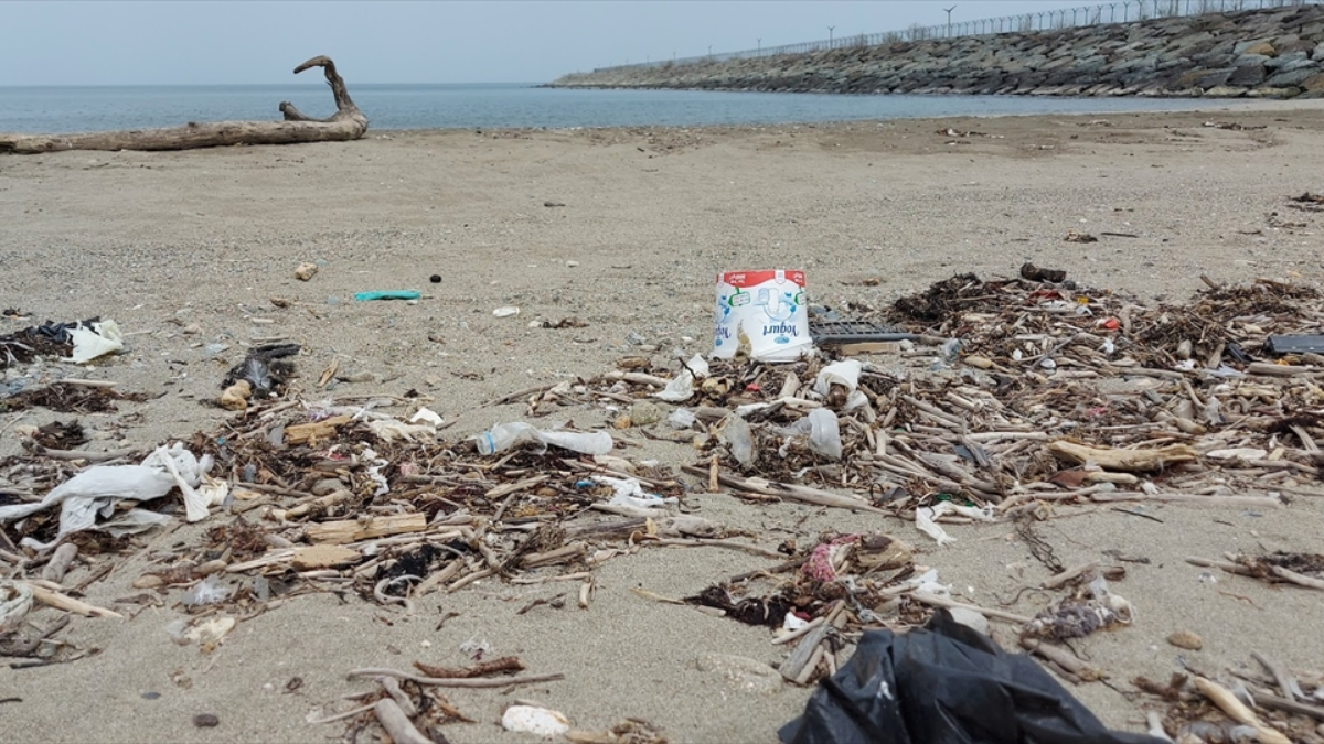 Kirliliğin Kaynağı ve Uluslararası Boyut