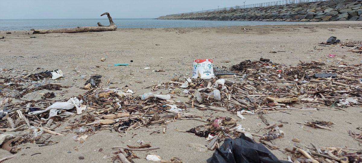 Karadeniz Kıyılarında Çöp Alarmı: Plajların Yüzde 90’ı Kirli ve Tehlikede