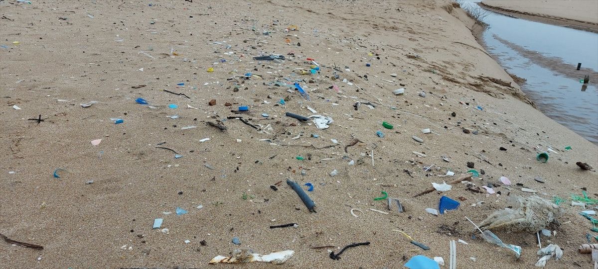 Karadeniz Kıyılarında Çöp Alarmı: Plajların Yüzde 90’ı Kirli ve Tehlikede