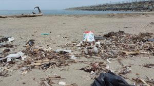 Karadeniz Kıyılarında Çöp Alarmı: Plajların Yüzde 90’ı Kirli ve Tehlikede