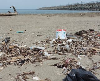 Karadeniz Kıyılarında Çöp Alarmı: Plajların Yüzde 90’ı Kirli ve Tehlikede
