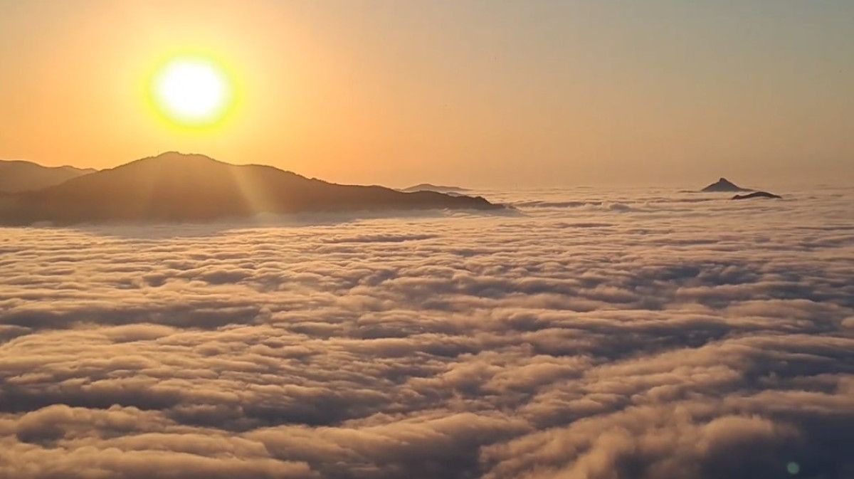 Karadeniz'in Bulut Denizi: Ziyaretçilerine Unutulmaz Manzaralar Sunuyor