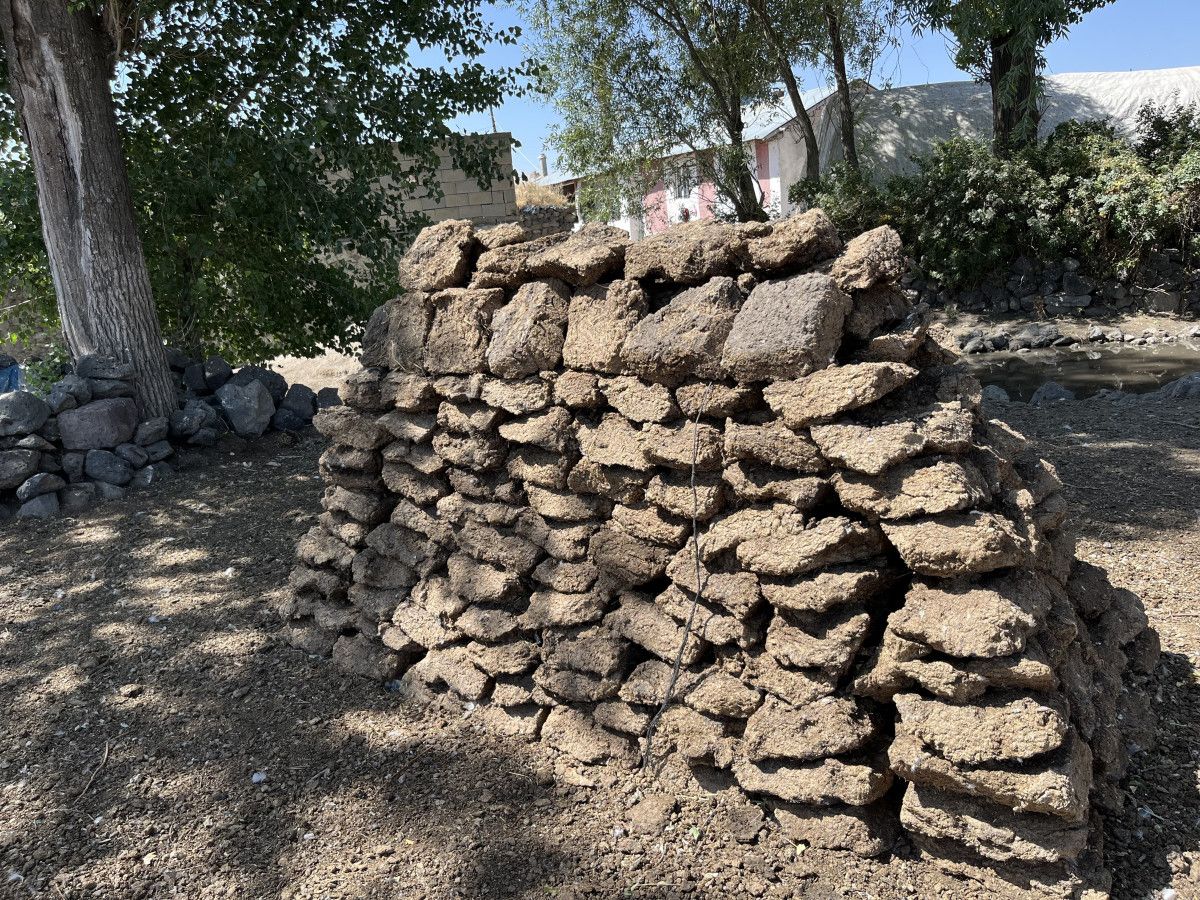 Kars Köylülerinden Geleneksel Tezek Mesaisi Yeniden Başladı