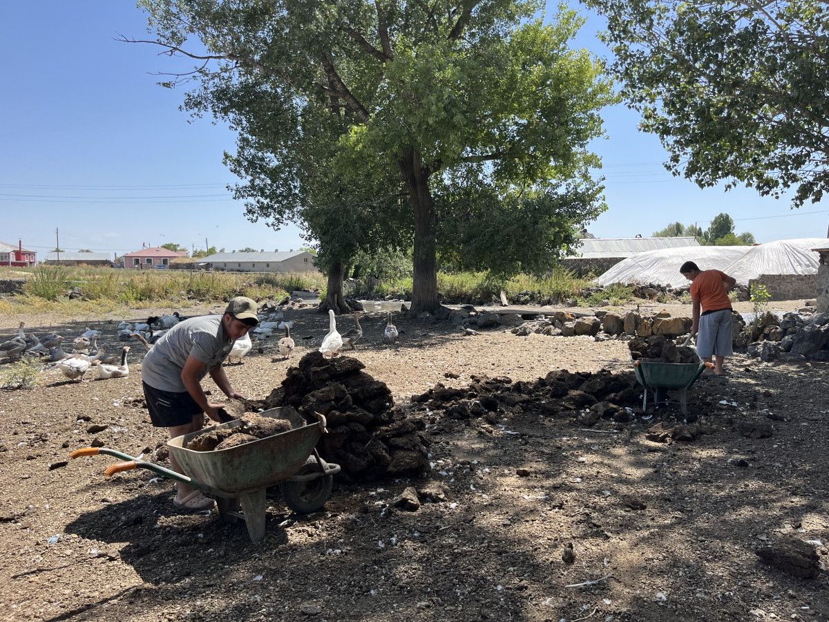 Kars Köylülerinden Geleneksel Tezek Mesaisi Yeniden Başladı