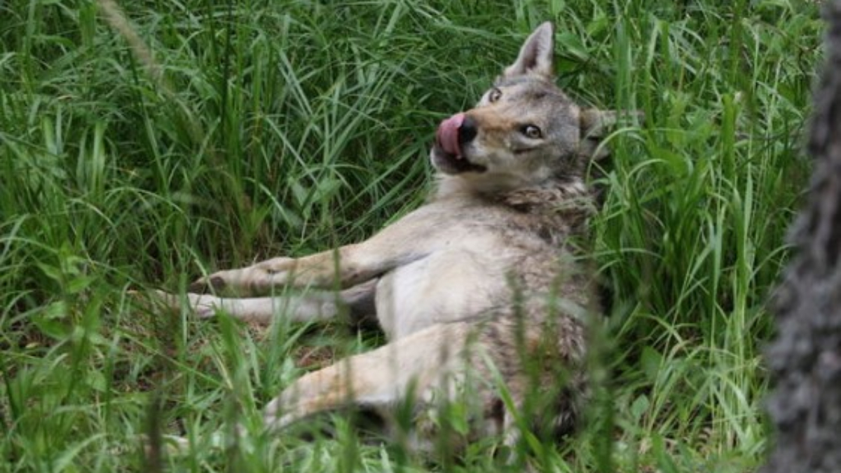 Projenin Başarıları ve Gelişmeleri