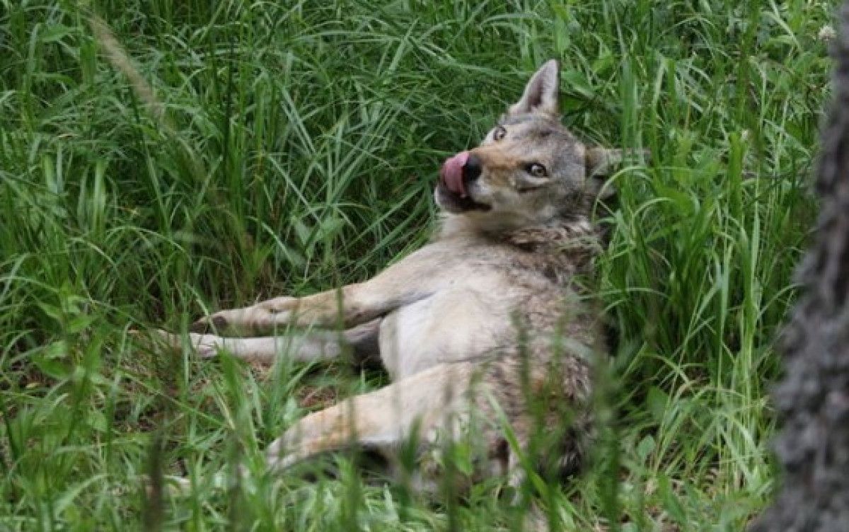 Veri ve Bulguların Önemi