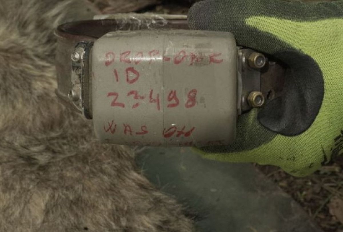 Karsta 50. Kurda da Uydu Vericisi Takıldı: Detaylar ve Güncel Bilgiler