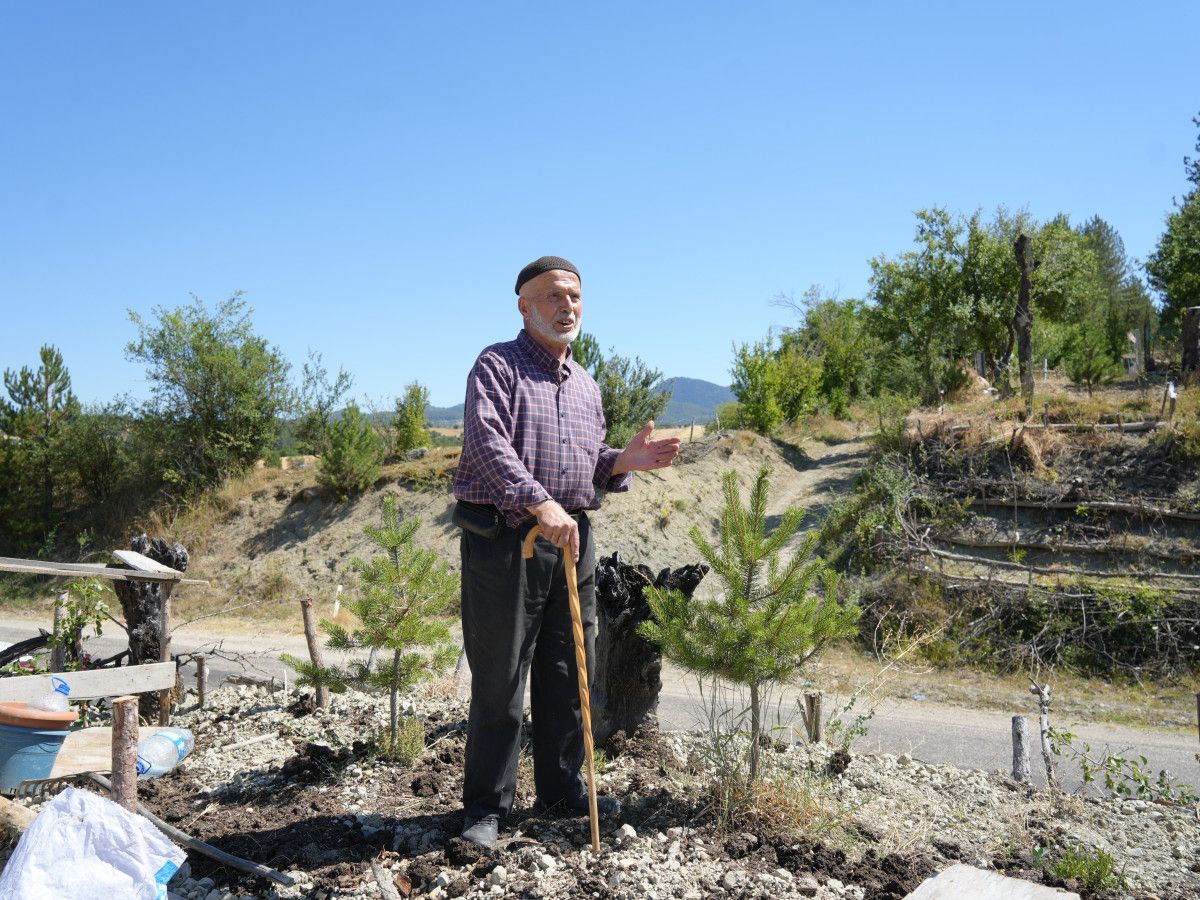 Yasal Çekişmeler ve Mahkeme Süreci
