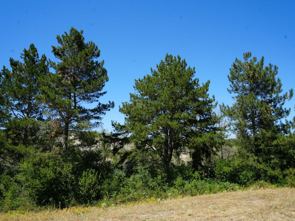 Emek ve Doğa Sevginin Simgesi