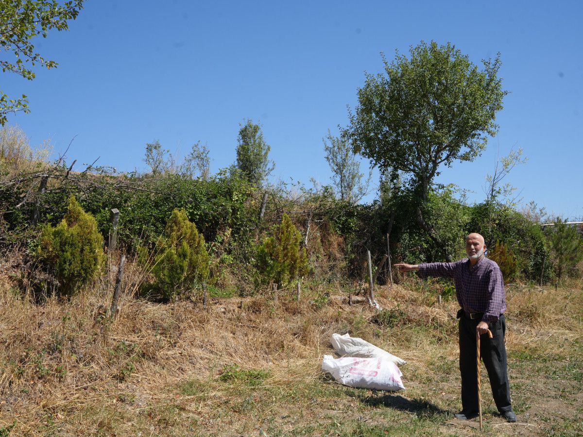 İlginç ve İlham Verici Bir Çaba: Erozyonun ve Çevre Sorunlarının Önüne Geçiş