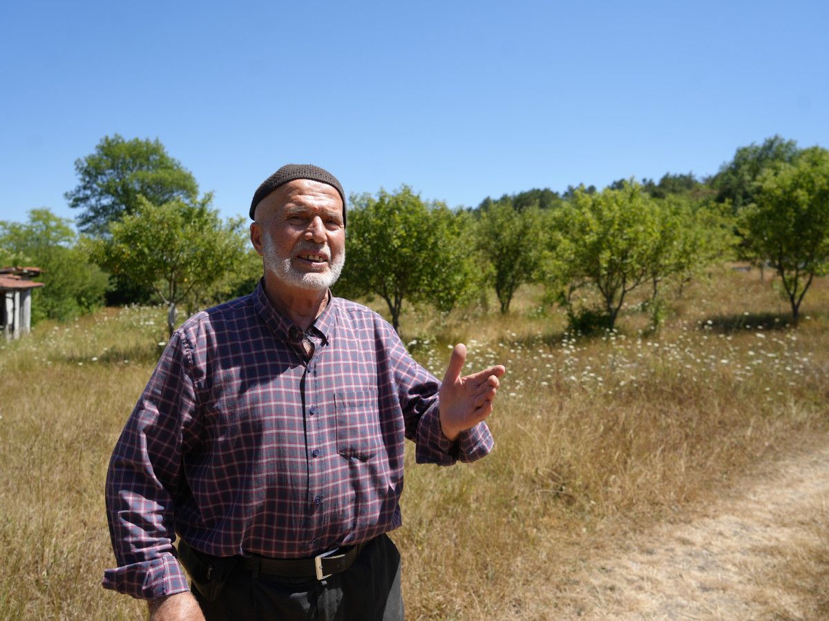 Kastamonu'da 32 Yılda Binlerce Ağaç Dikinmiş Hikayesi