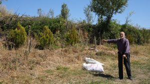 Kastamonu’da 32 Yılda Binlerce Ağaç Dikinmiş Hikayesi