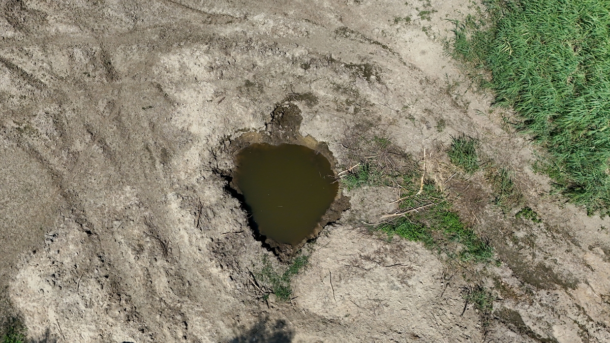Dere Yatağında Çatlaklar ve Otların Yeşermesi