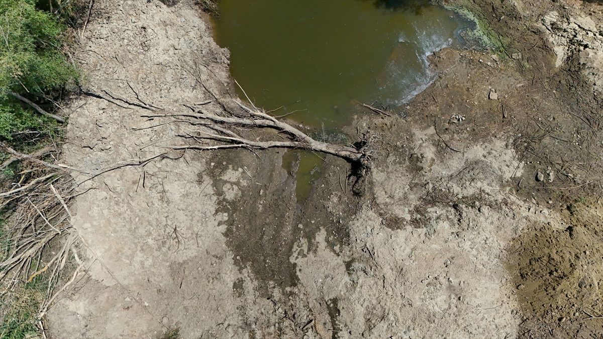 Kırklareli'nde Teke Deresi Kurudu: Nedenleri ve Sonuçları