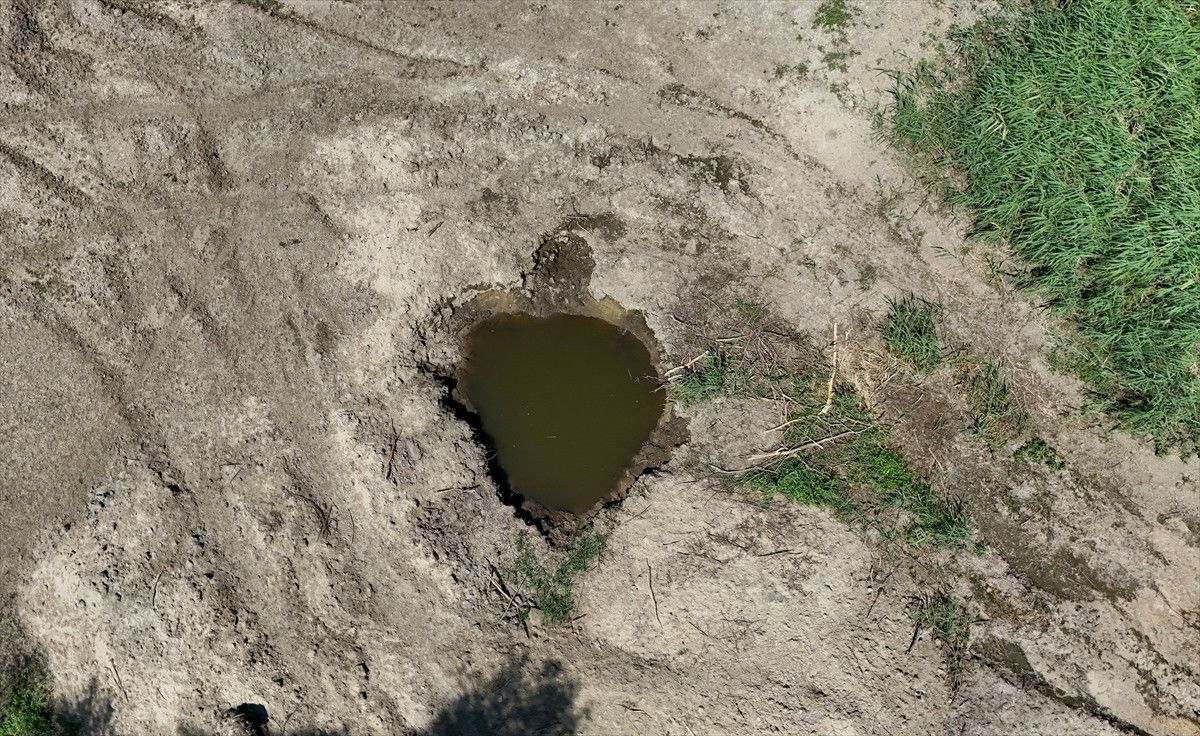 Kırklareli'nde Teke Deresi Kurudu: Nedenleri ve Sonuçları