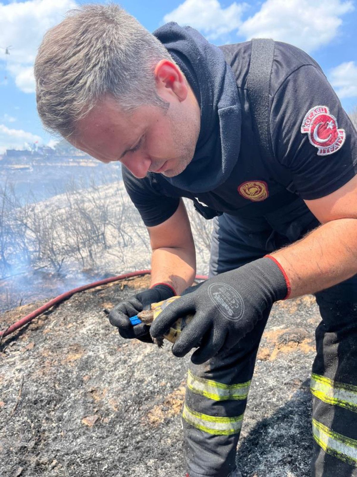 Sevgi ve Duyarlılık Dolu Anlar