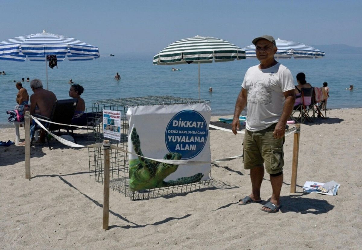 Bugüne Kadar Tespit Edilen Caretta Caretta Yuvaları ve Güncel Durum