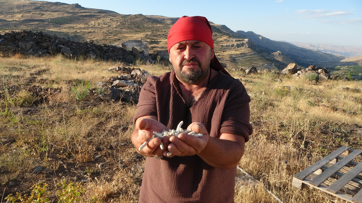 Sakızın Değeri ve Üretim Süreci