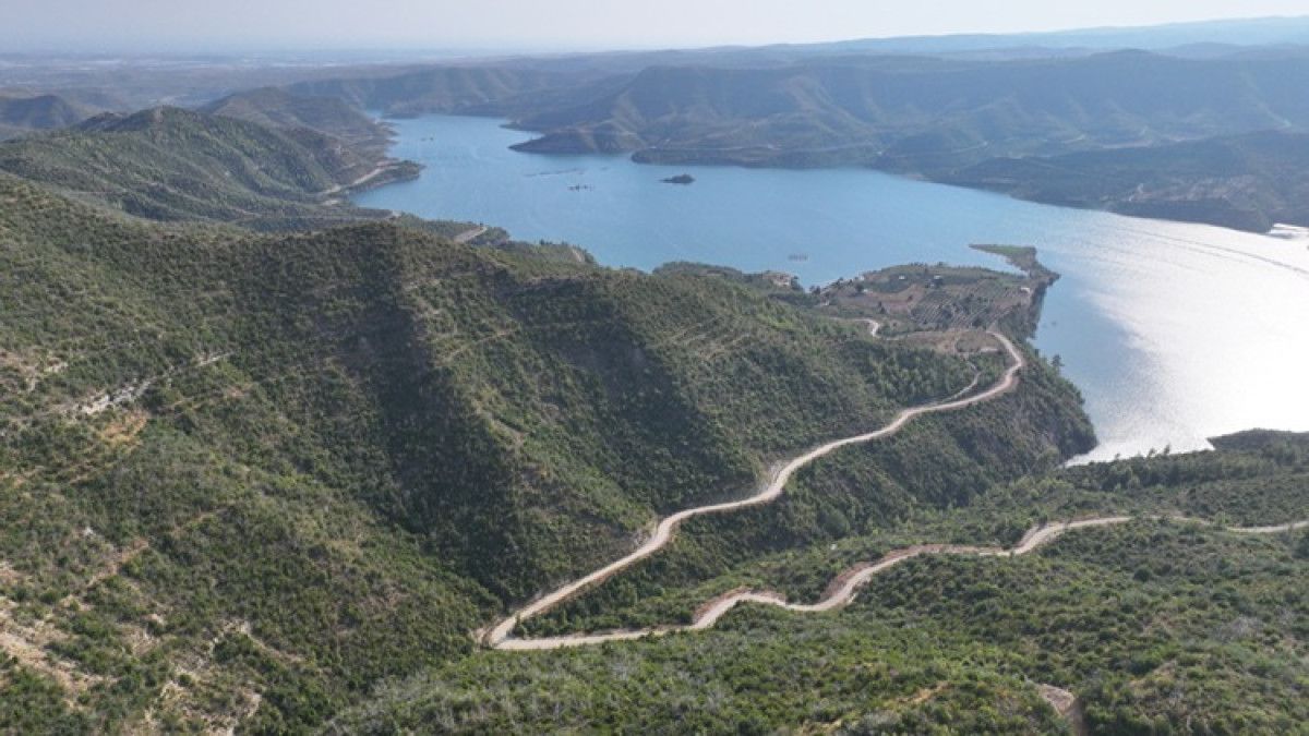 Manavgat'taki Yanan Ormanlık Alanlar Yeniden Yeşeriyor