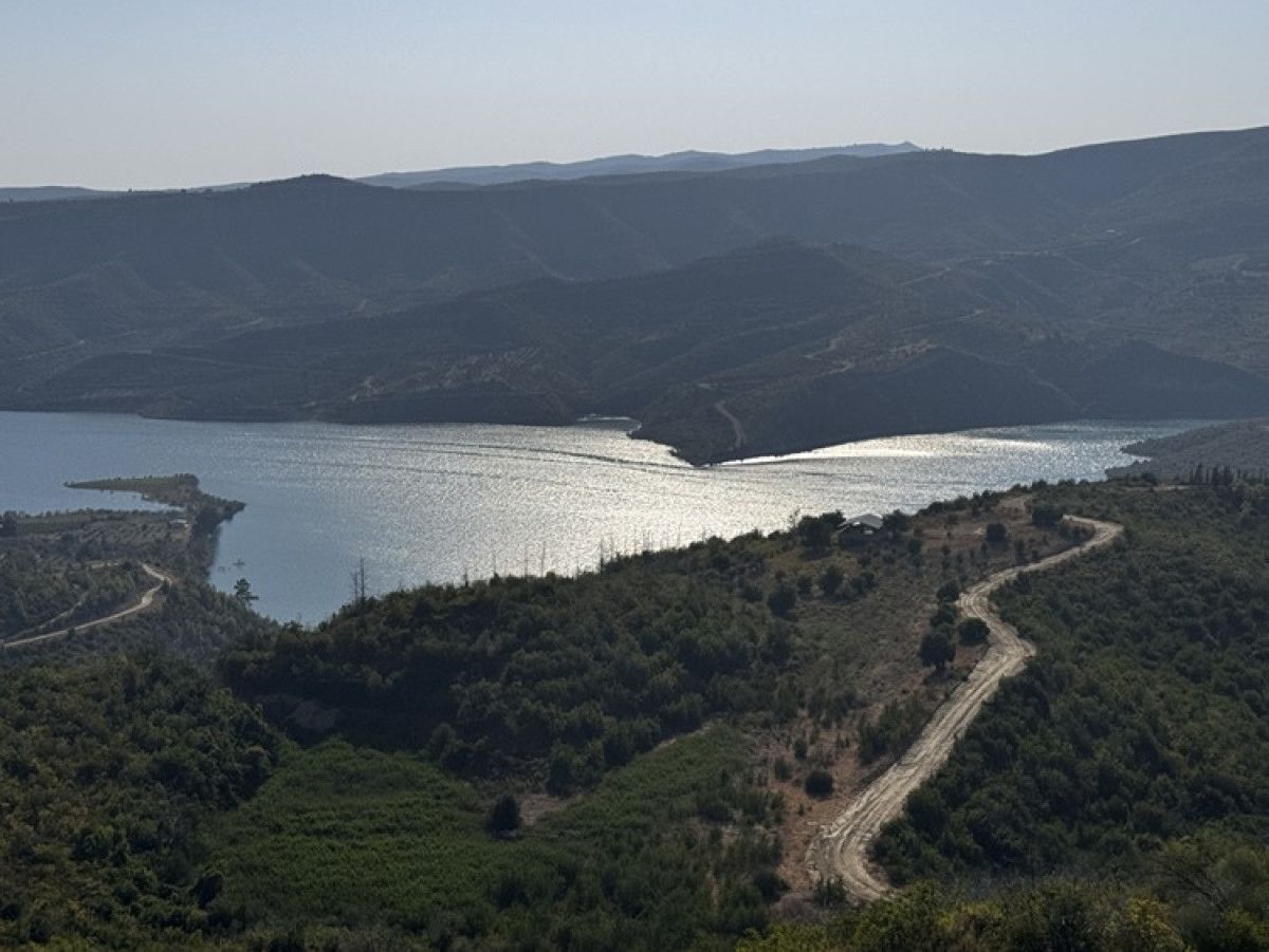 Manavgat'taki Yanan Ormanlık Alanlar Yeniden Yeşeriyor