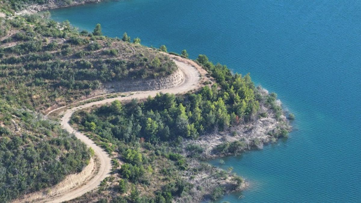 Manavgat'taki Yanan Ormanlık Alanlar Yeniden Yeşeriyor