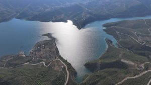 Manavgat’taki Yanan Ormanlık Alanlar Yeniden Yeşeriyor