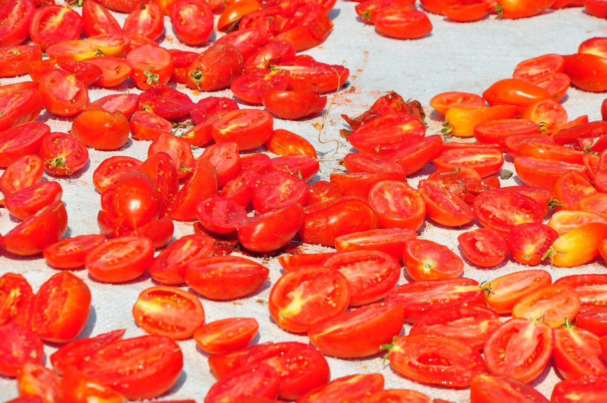 Manisada Kurutulmuş Domatesler Avrupa Ülkelerine İhracat Ediliyor