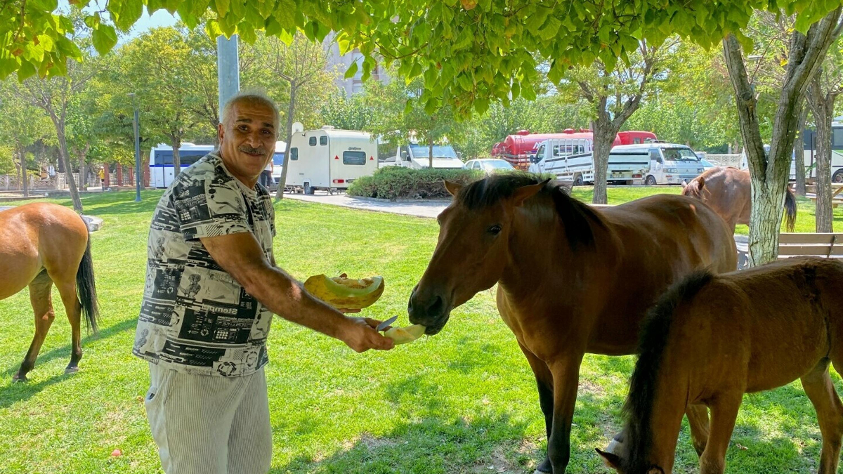Pazarcılar ve Atlara Destek