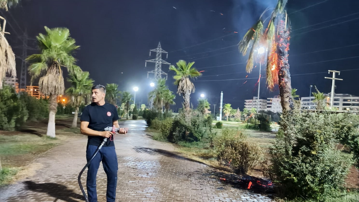 Mardin'de Parktaki Palmiye Ağacı Kustu Ateşe Verildi