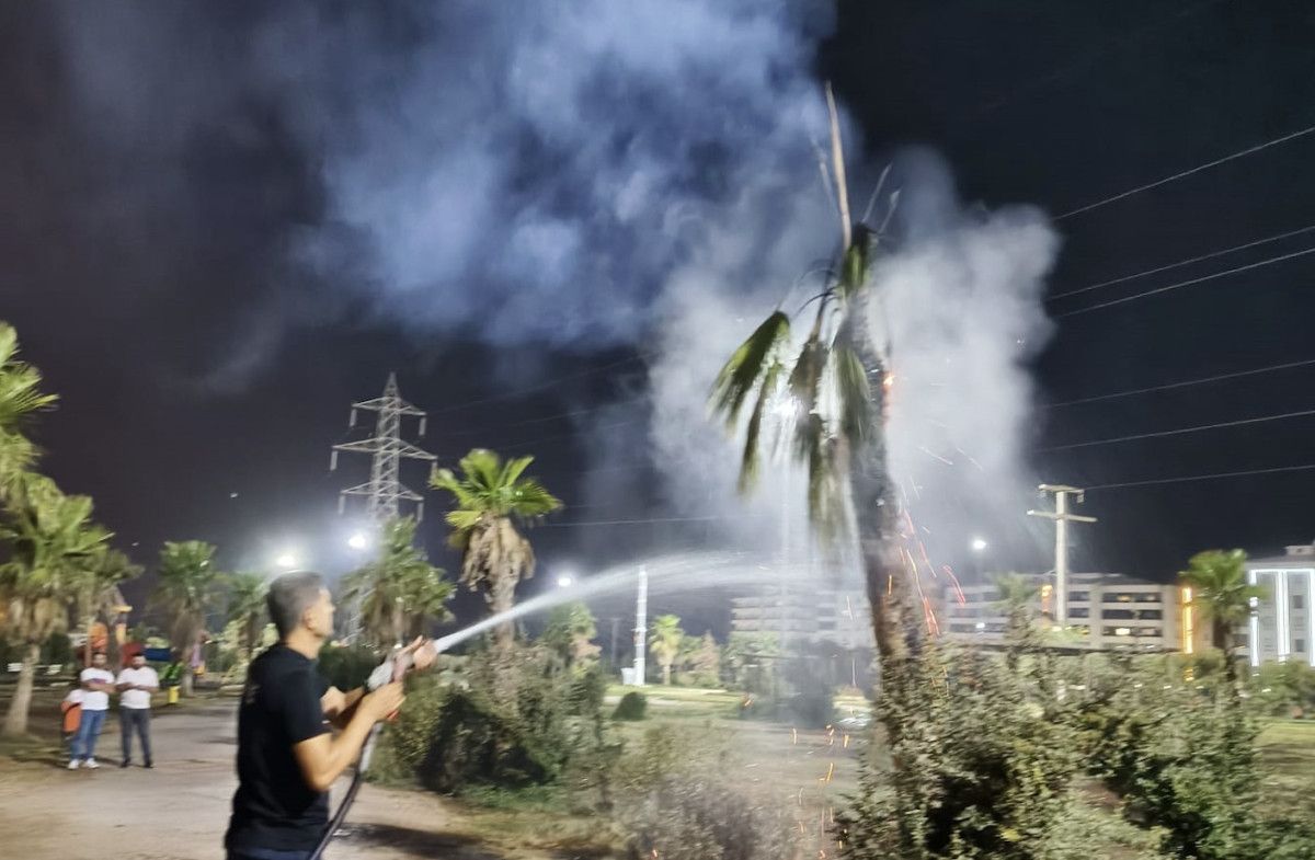 Mardin'de Parktaki Palmiye Ağacı Kustu Ateşe Verildi