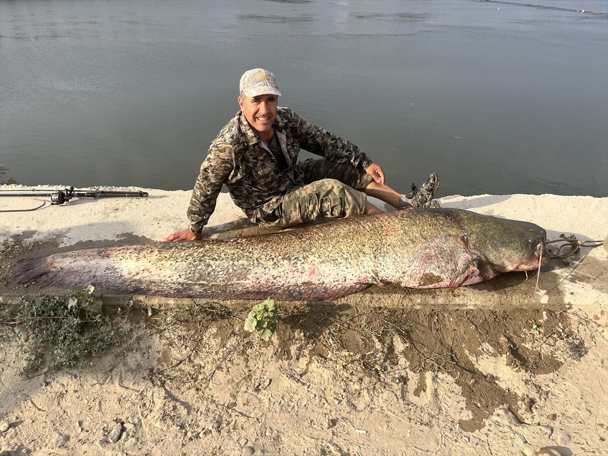 Meriç Nehri’nde 100 Kiloluk Yayın Balığı Yakalama Heyecanı