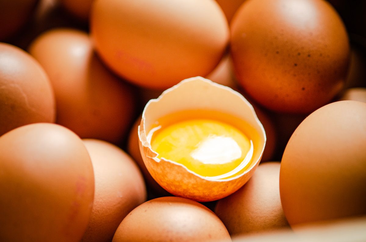 Kapatılmış ve Vakumlu Kapsüller