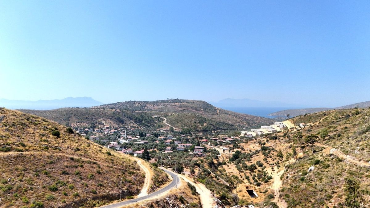 Muğlada Kül Olan Ormanlar 5 Yılda Yeniden Canlandı