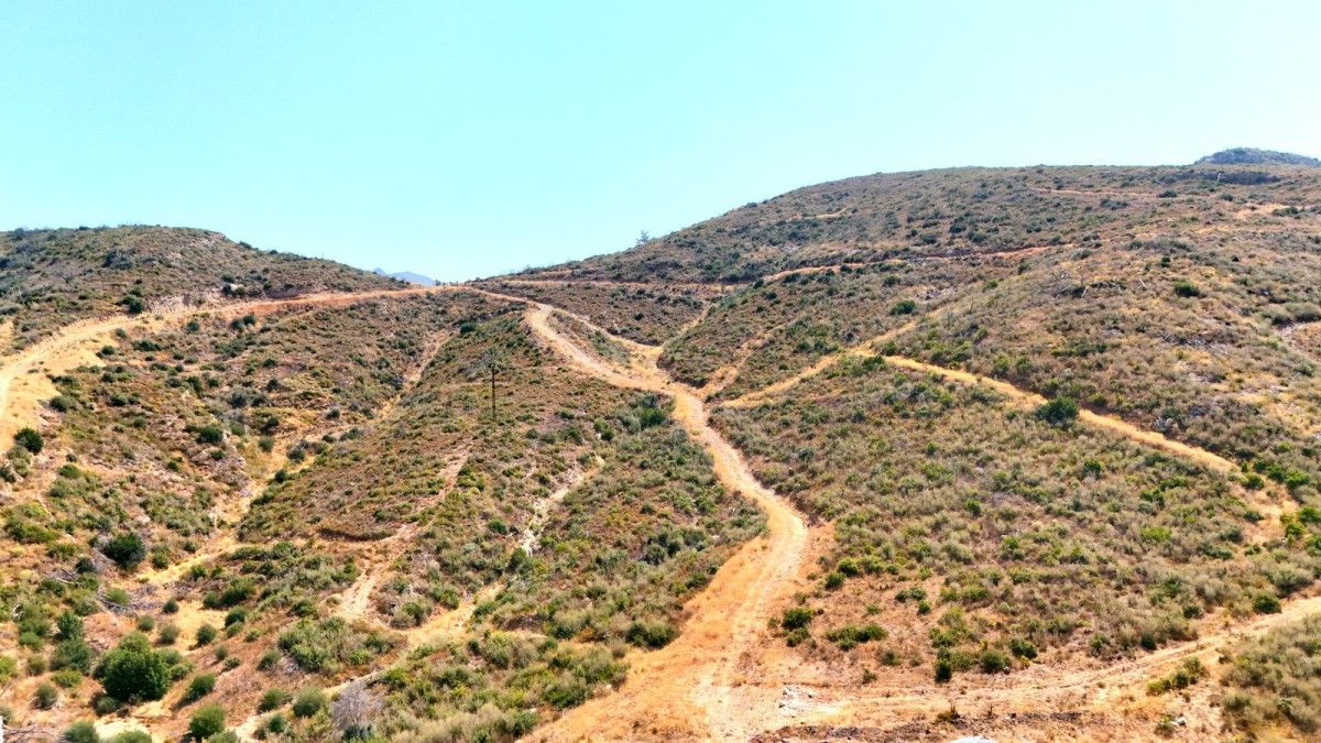 Muğlada Kül Olan Ormanlar 5 Yılda Yeniden Canlandı