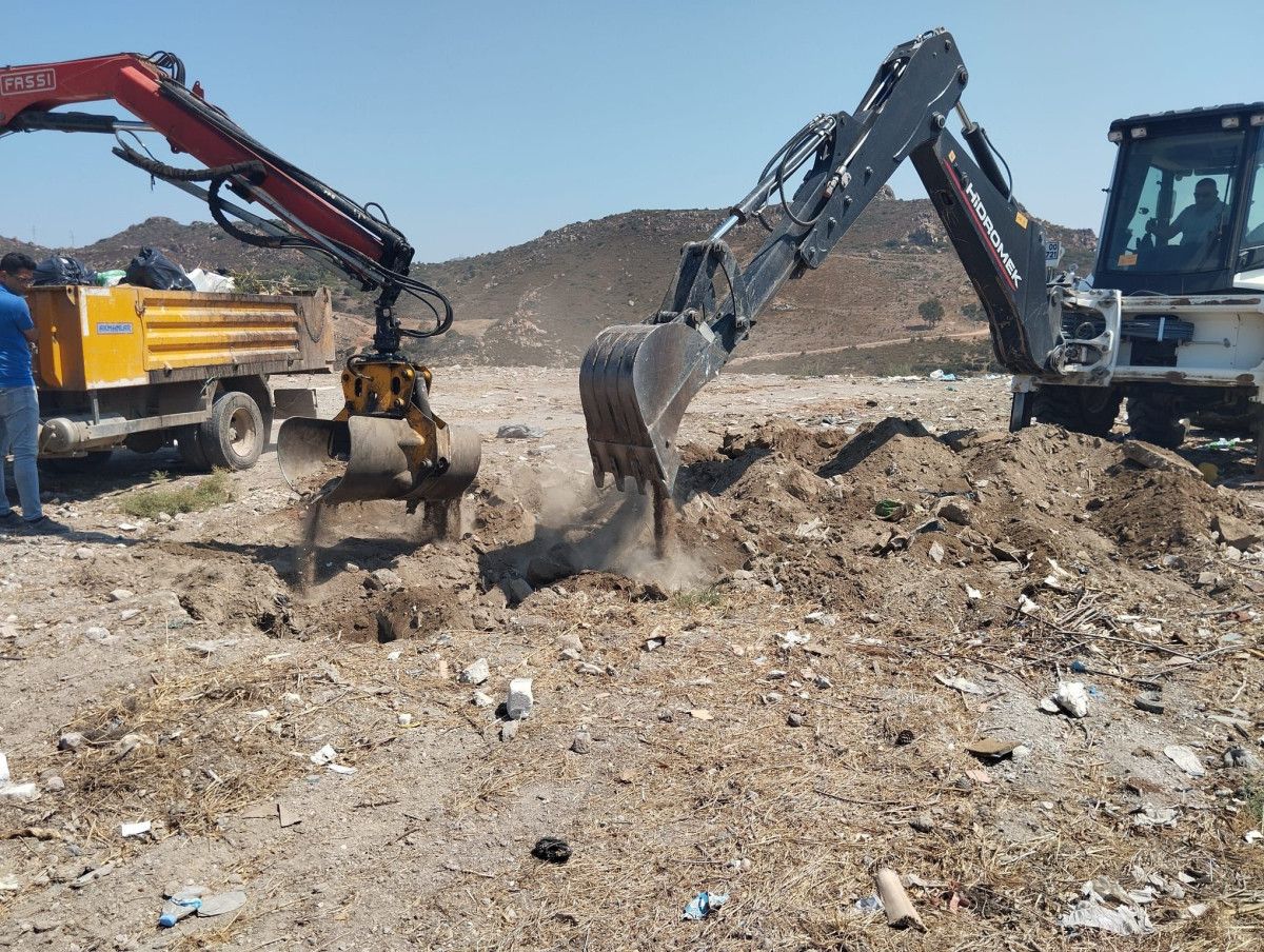 Muğla'da Ölümle Sonuçlanan Yunus Vurulması: Turistler Şoke Oldu