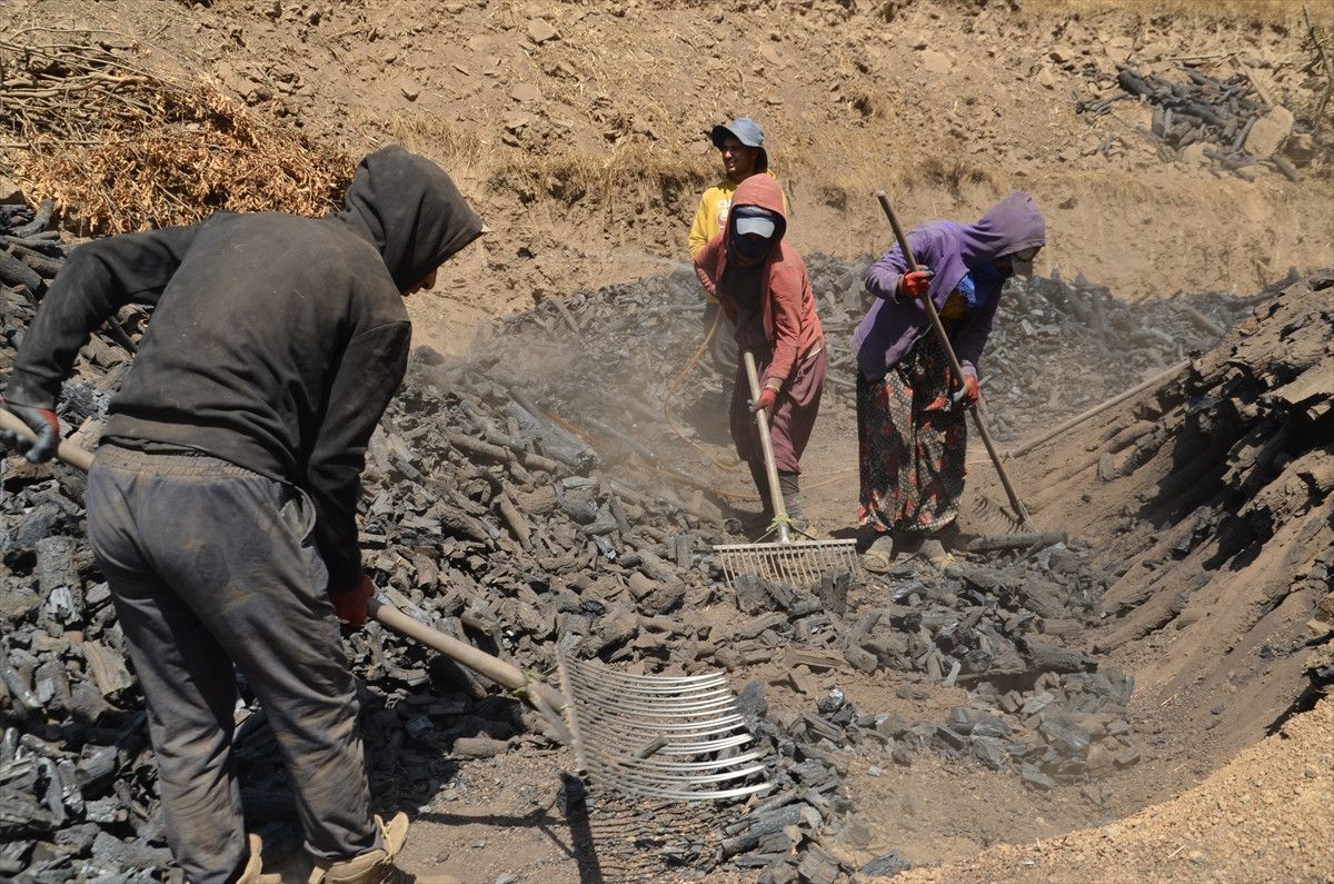Muşta Mangala Kömürünün Alın Teriyle Yolculuğu: Doğal ve Güvenilir Mangal Kömürü Seçenekleri