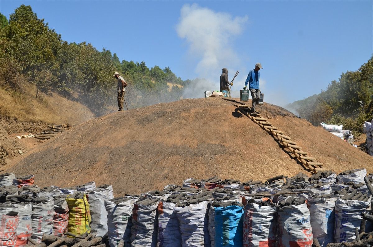 Muşta Mangala Kömürünün Alın Teriyle Yolculuğu: Doğal ve Güvenilir Mangal Kömürü Seçenekleri