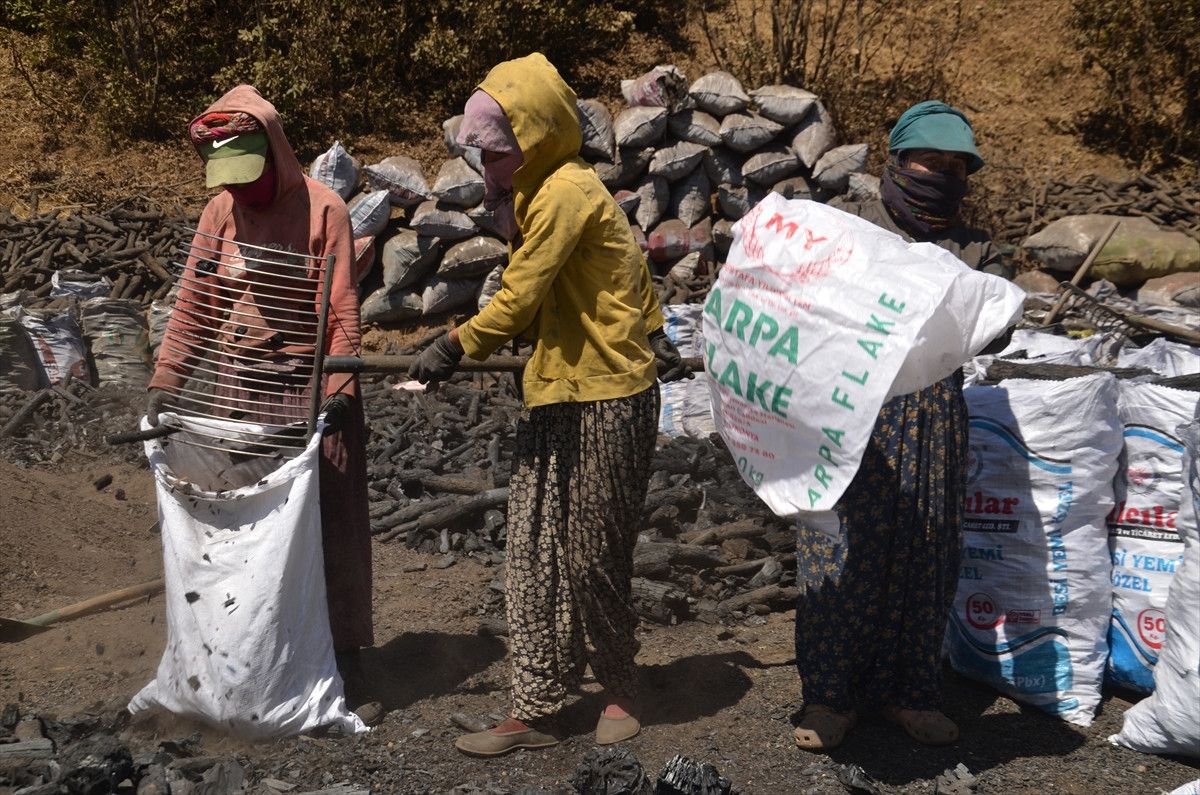Muşta Mangala Kömürünün Alın Teriyle Yolculuğu: Doğal ve Güvenilir Mangal Kömürü Seçenekleri