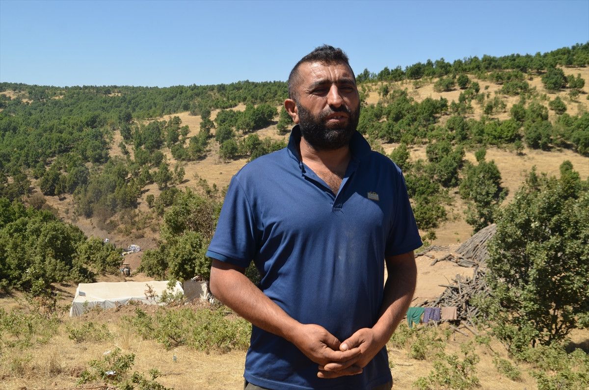 Muşta Mangala Kömürünün Alın Teriyle Yolculuğu: Doğal ve Güvenilir Mangal Kömürü Seçenekleri