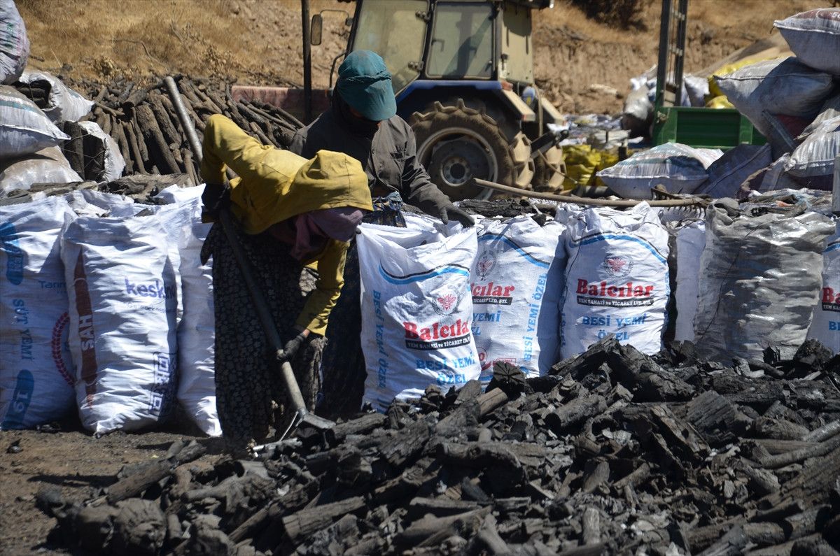 Kömür Üretiminin Ekonomik Önemi