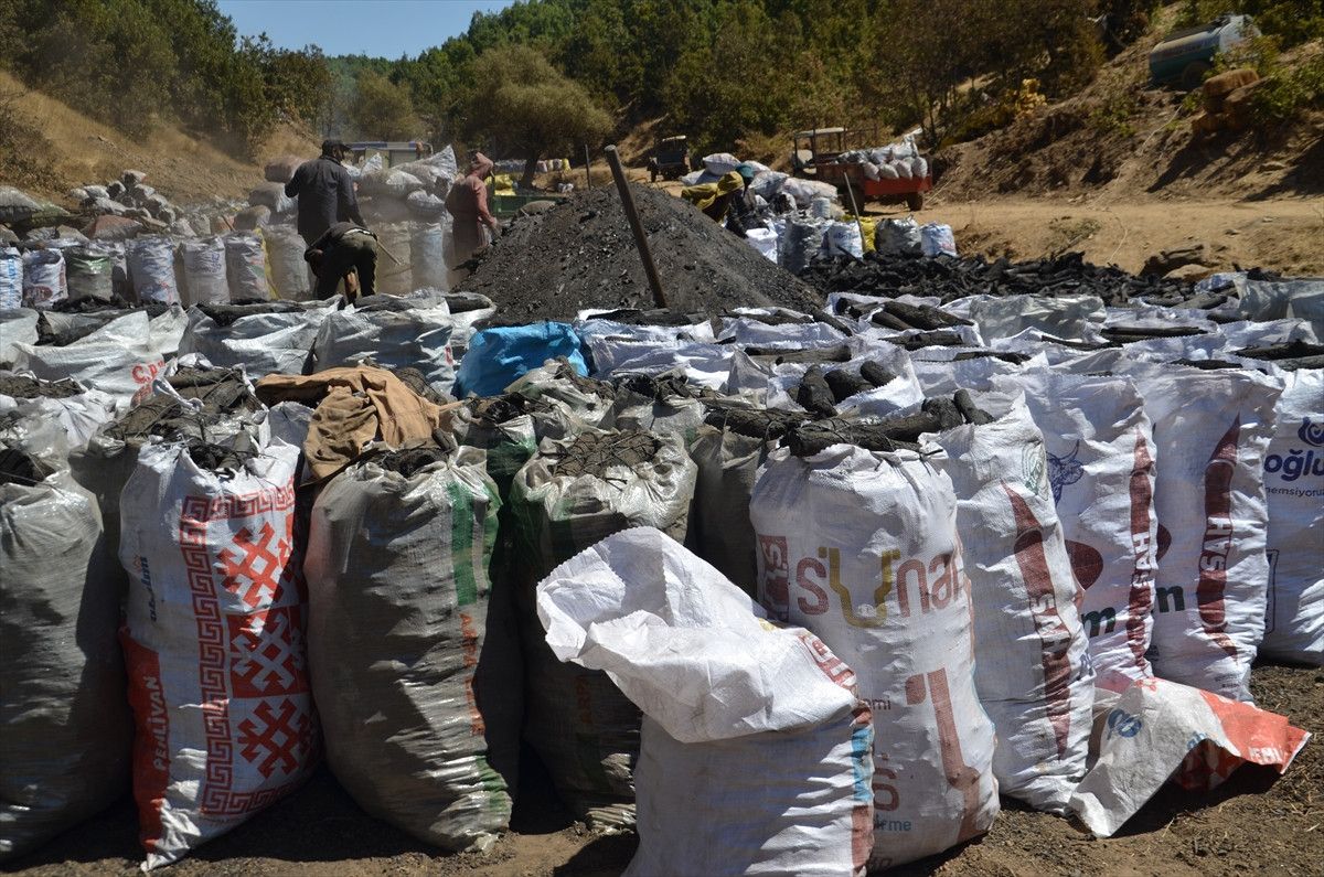 Kömür Üretiminin Ekonomik Önemi
