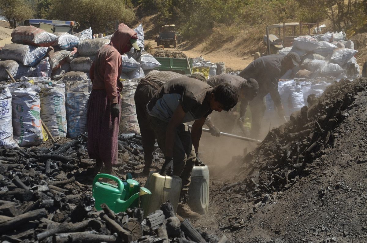Kömürün Satış Fiyatları ve Ailelerin Güncel Durumu
