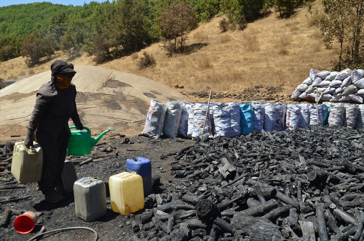 Kömürün Satış Fiyatları ve Ailelerin Güncel Durumu
