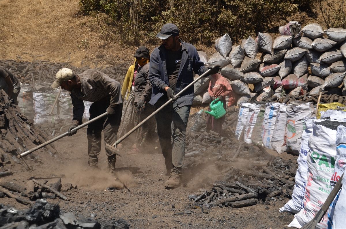 Muşta Mangala Kömürünün Alın Teriyle Yolculuğu: Doğal ve Güvenilir Mangal Kömürü Seçenekleri